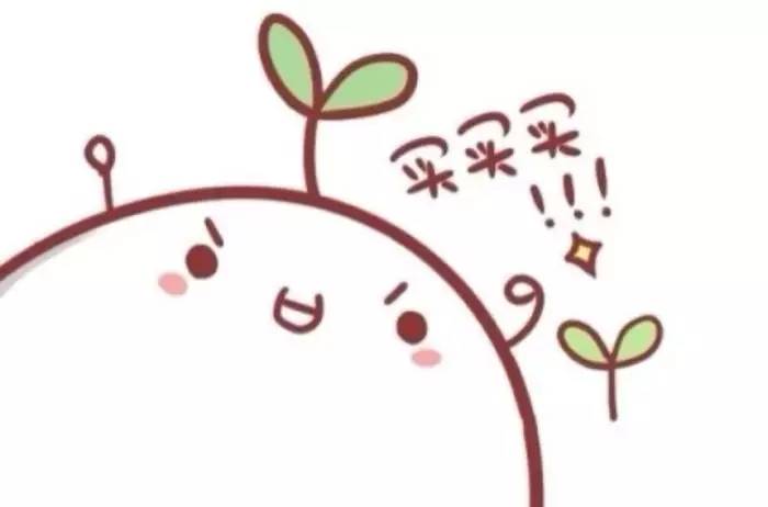 在东野圭吾的故乡大阪，真的有能解忧的杂货店