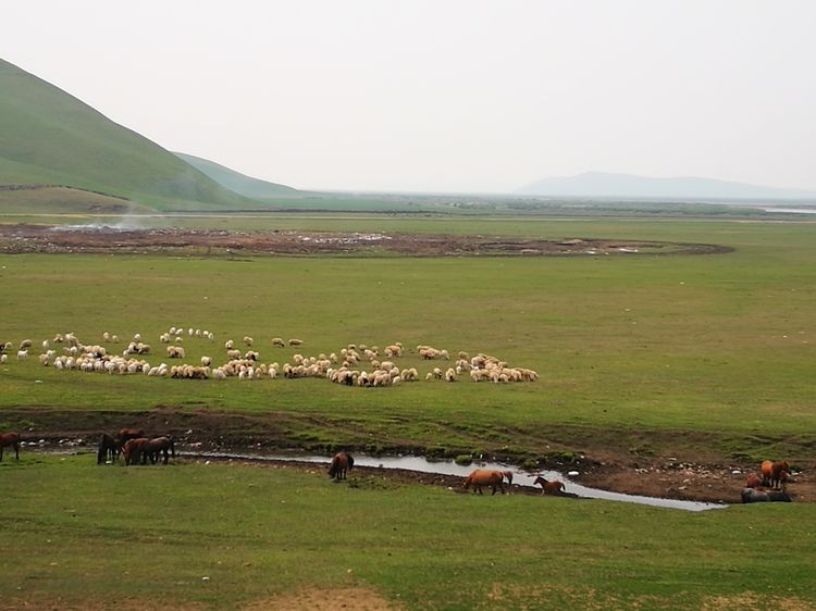 记忆深处的呼伦贝尔,记录呼伦贝尔美好时光