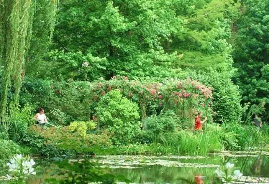 小镇艺术|印象派系的吉维尼,莫奈的“睡莲”花园