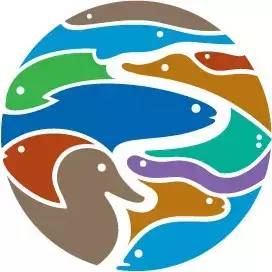 水族简单介绍,水草溶叶是什么症状