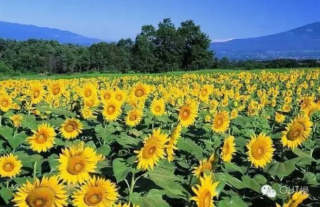 命苦！大南京最冤的一个区竟是它