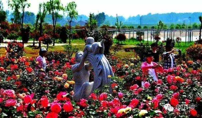 命苦！大南京最冤的一个区竟是它