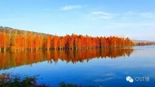 命苦！大南京最冤的一个区竟是它