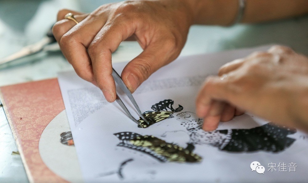 死的蝴蝶怎么让它复活,死的蝴蝶要怎么样活过来