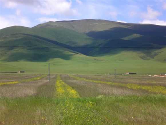 我是远洋渔民，爱钓鱼，更爱周游世界