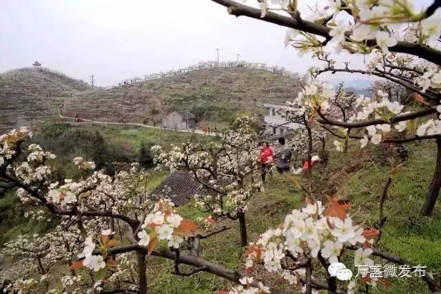 相信我,万盛还有你不知道的一面!