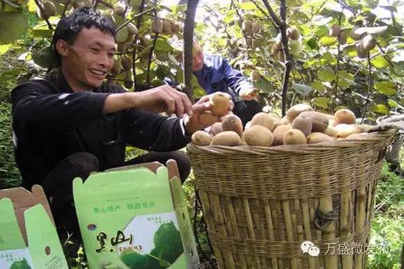 相信我,万盛还有你不知道的一面!