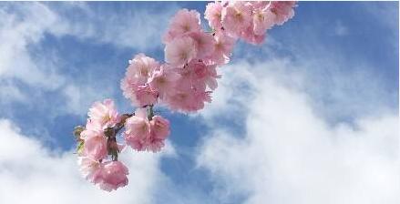 亲爱的,我们来聊聊邮件礼仪|荐读