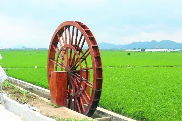 西江明珠石板沙生态岛,江门新会石板沙湿地公园