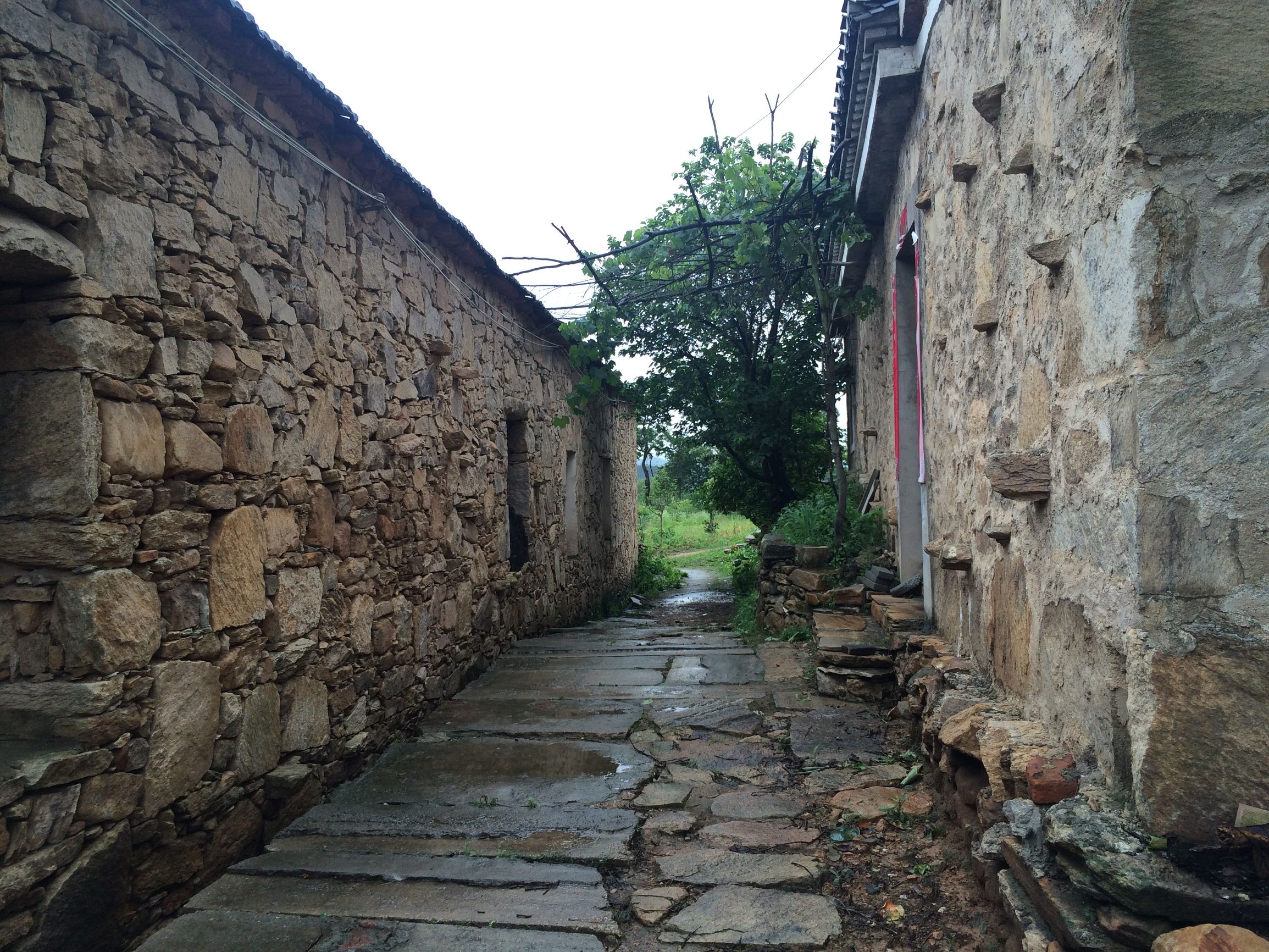 大美中国随州旅游攻略,灵秀湖北千湖之地