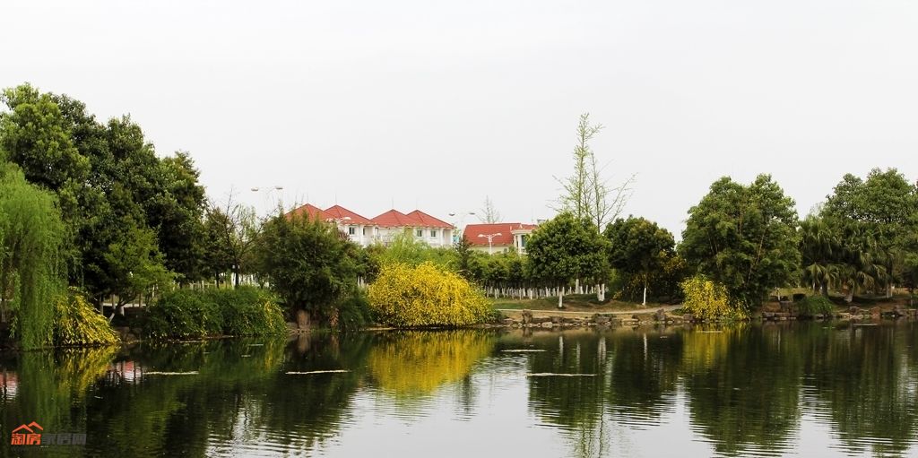 绵阳的最新发展区域,绵阳有哪些标志性的地方