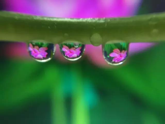 你拍出来的好照片:读者投稿选登(第五期)