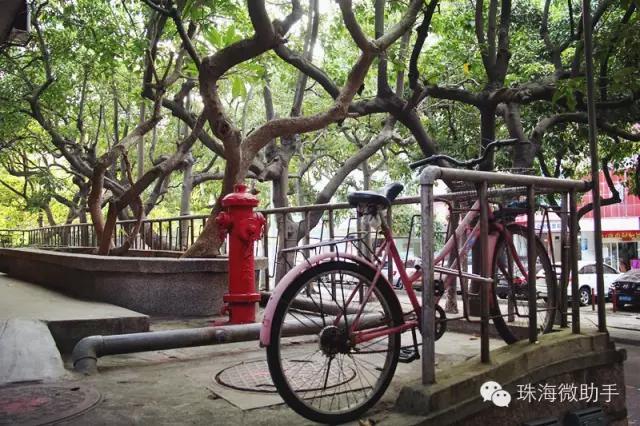 珠海最值得一去的特色街,我只去过5个,你呢?