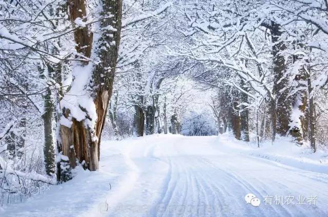 曾经|结伴跑在乡间小路上，跑过了整个童年~~