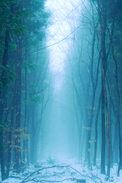 我想对你说我爱你原版,我想对你说我爱你