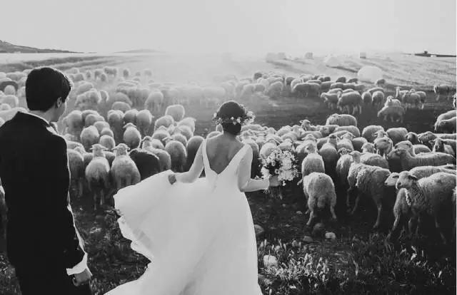 咫尺光年爱如初见意思,咫尺光年爱如初见什么意思