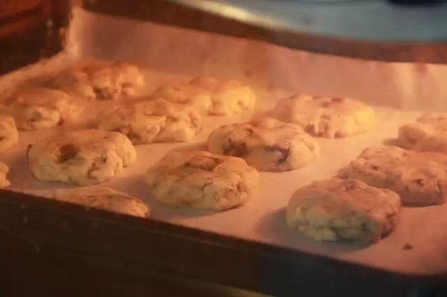 烘焙入门的16种好吃的曲奇饼干,烘焙新手怎么做饼干