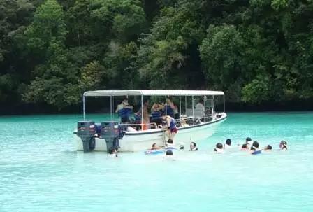 帕劳潜水之旅第三集,帕劳潜水之旅第二部