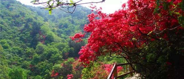 是谁说大湖北*片A**少，这11个绝对够你看！