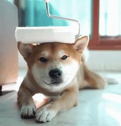 想必手感一定很赞！