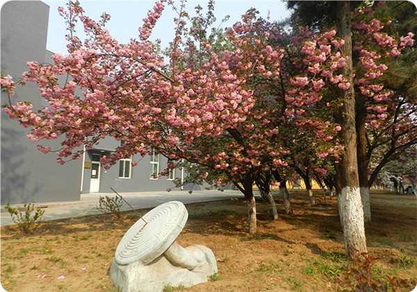 俞敏洪谈大学生为什么要读书,俞敏洪在学校