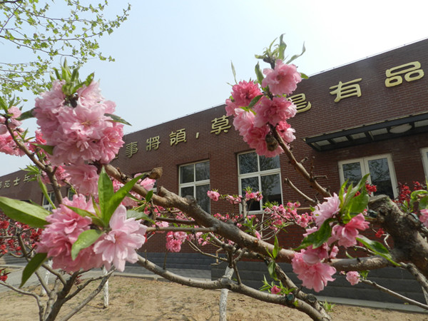 俞敏洪谈大学生为什么要读书,俞敏洪在学校