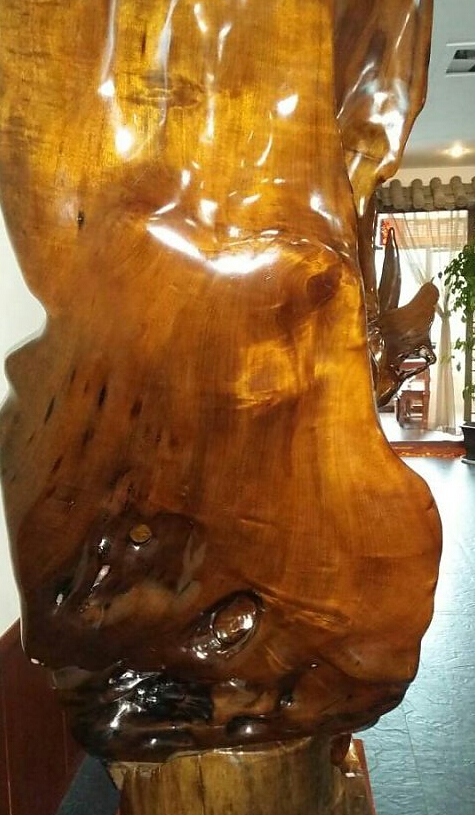 金丝楠乌木之王,金丝楠乌木帝王木