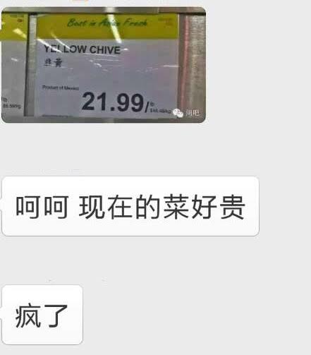 韭黄22块一斤,韭黄12元一斤