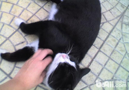 涨姿势10个最有创意的居家收纳,涨姿势这些食物竟然都能防脱发