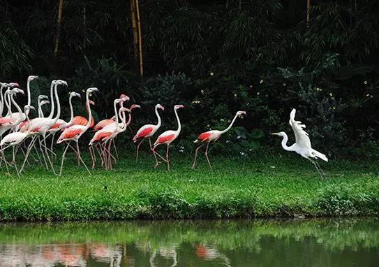 迪士尼一家三口自助游攻略,迪士尼幼儿园旅游攻略