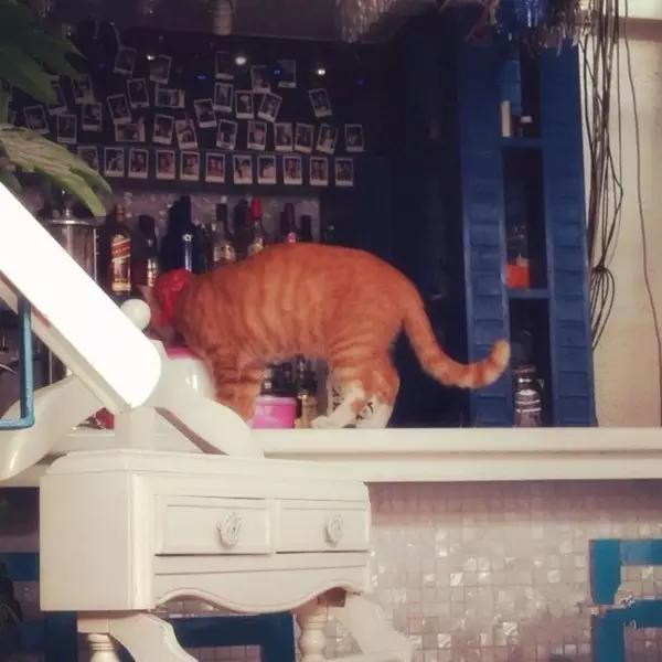 京城那些萌哒哒的地方,即使去千遍也不厌倦