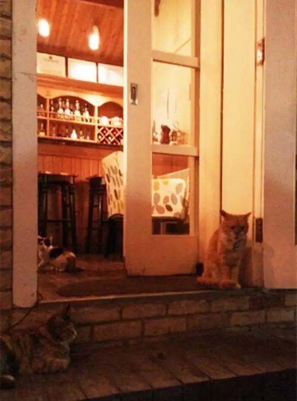 京城那些萌哒哒的地方,即使去千遍也不厌倦