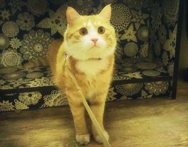 京城那些萌哒哒的地方,即使去千遍也不厌倦