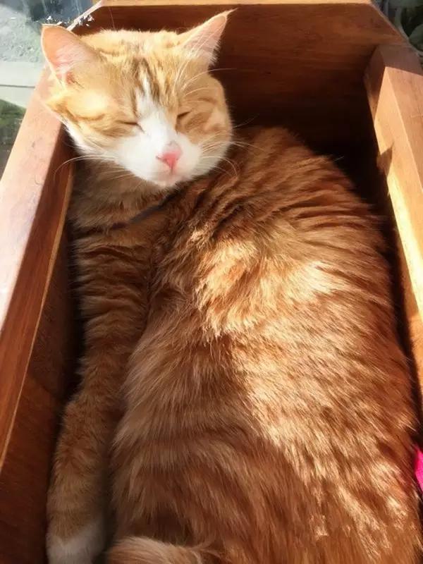 京城那些萌哒哒的地方,即使去千遍也不厌倦