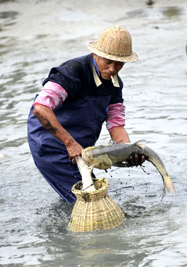 云霄海鲜美食节，干塘激情上演“浑水摸鱼”，女人免费摸
