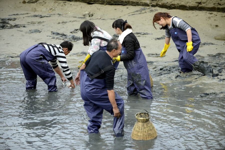 云霄海鲜美食节，干塘激情上演“浑水摸鱼”，女人免费摸