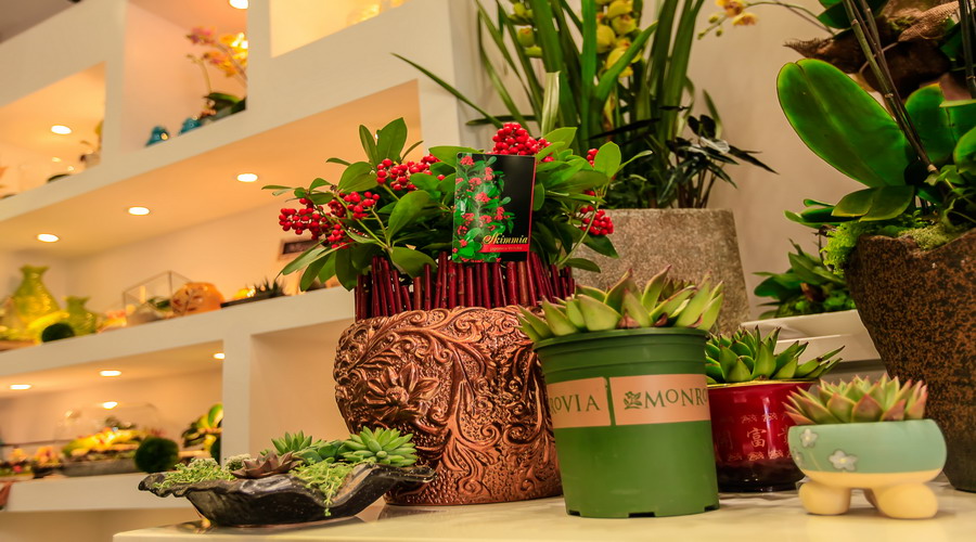 花店新店线上应该如何运营,花店新思路