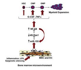 心存侥幸,小小炎症竟变癌!炎症离“癌”到底有多远?
