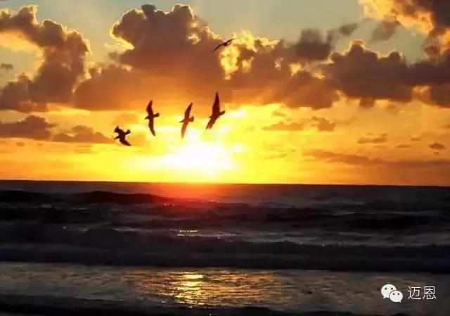 澳洲黄金海岸度假,澳洲黄金海滩自驾游