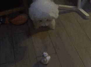 bb8遥控机器人,乐高bb8机器人