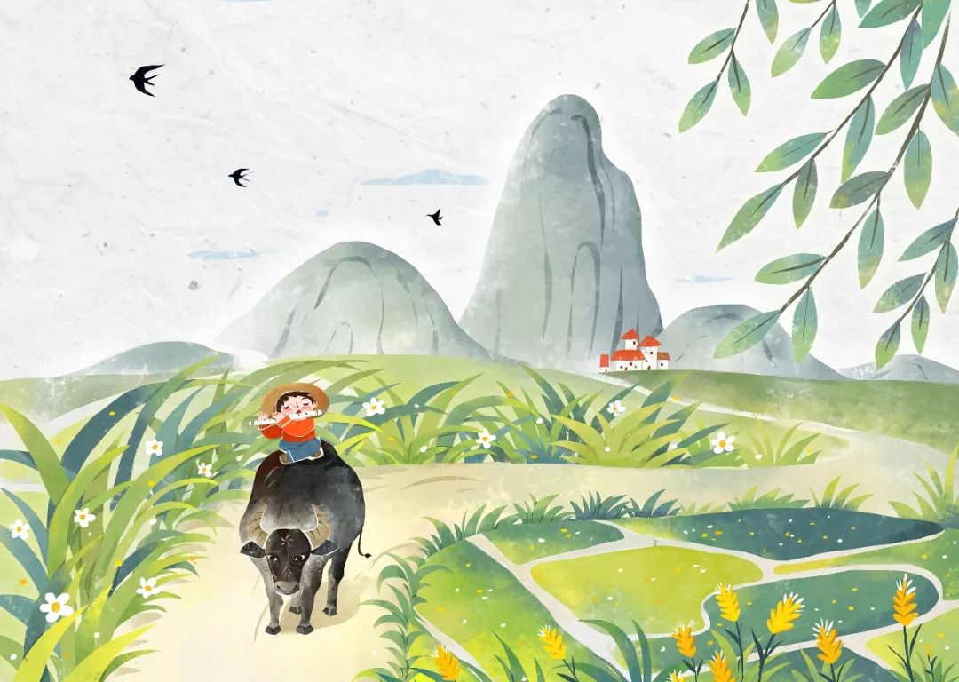 谷雨夜来风雨声花落知多少,花落知多少是谷雨吗