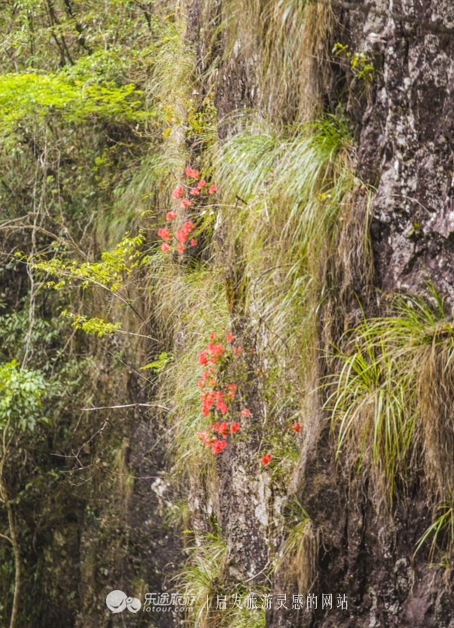 云顶景区瀑布,云顶山峡谷七彩瀑布