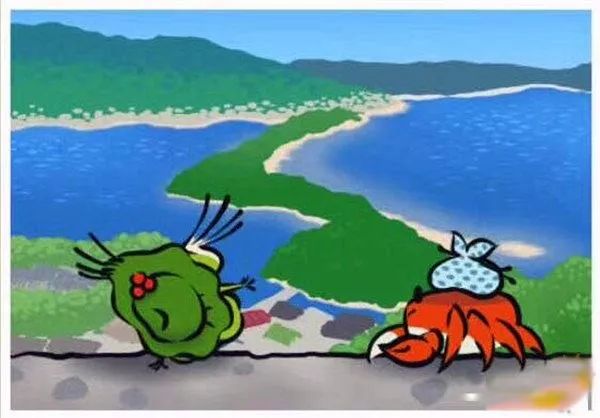 我的蛙儿子,蛙儿子的旅行日记从哪找