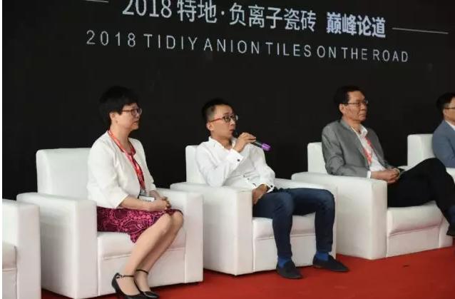 特地负离子瓷砖是优等品吗,特地负离子瓷砖百安居南山店