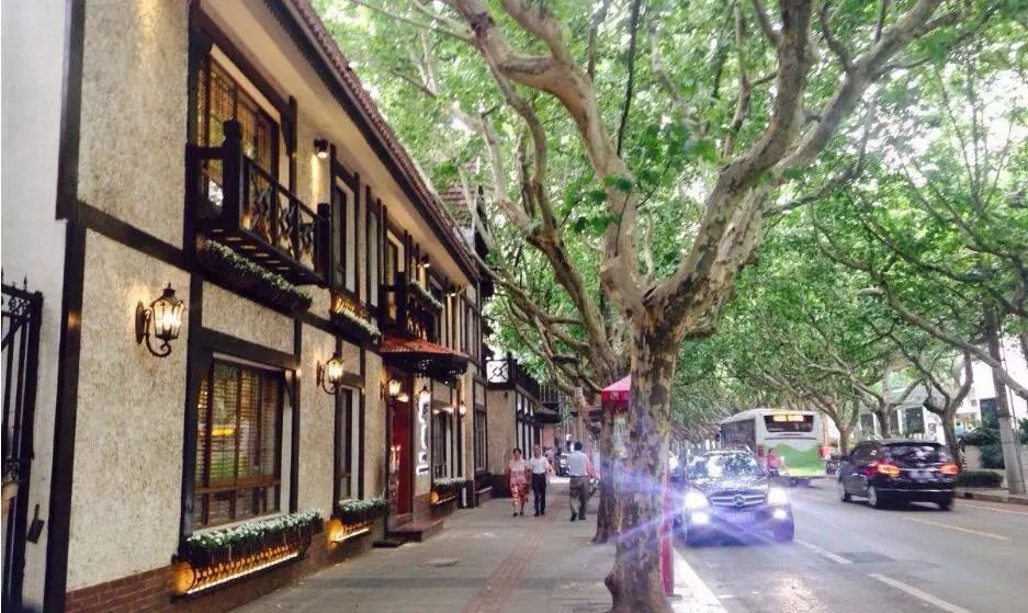 你心目中的长宁是什么样？揭晓未来三年长宁打响上海“四大品牌”大动作