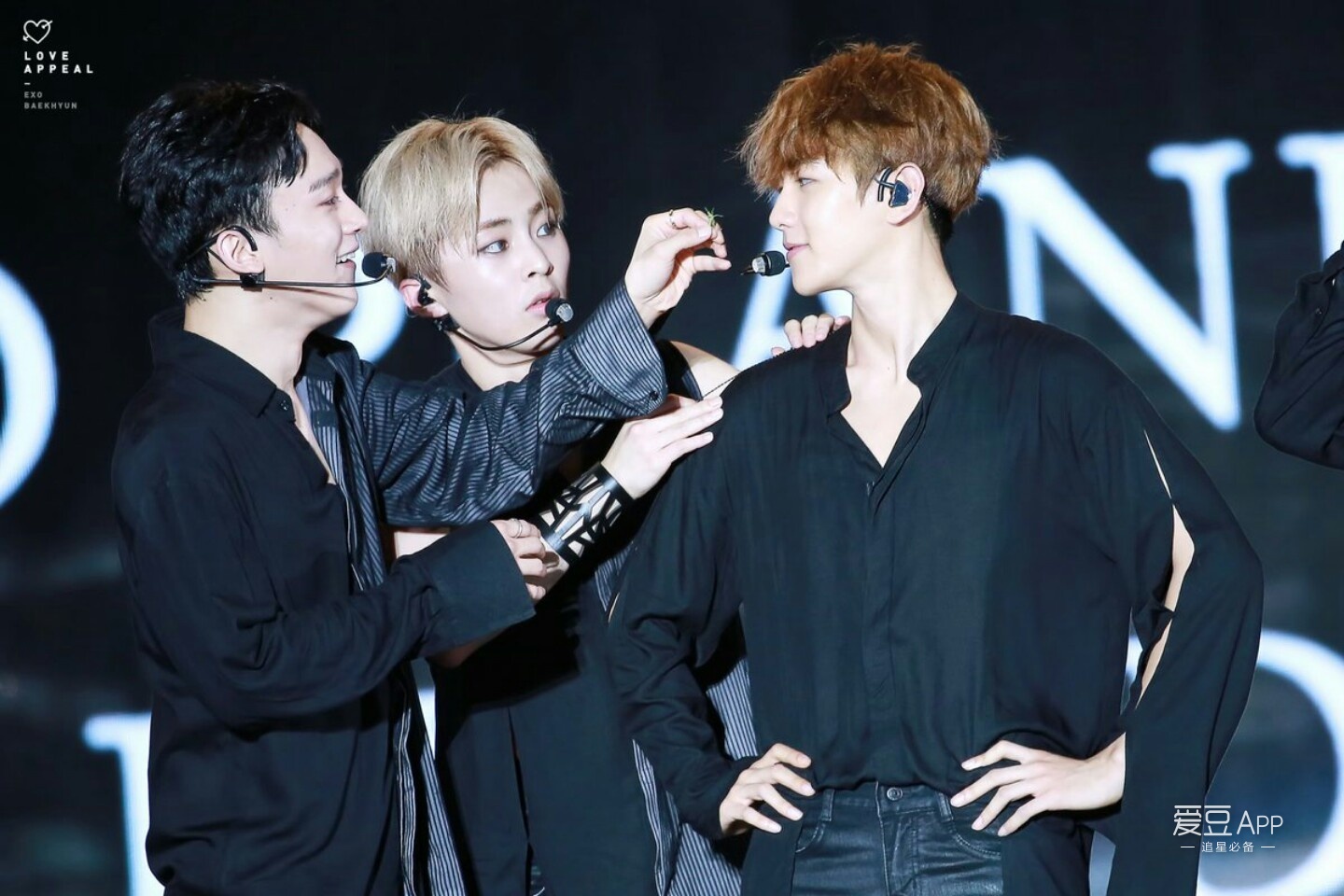 exo分享视频,exo分享