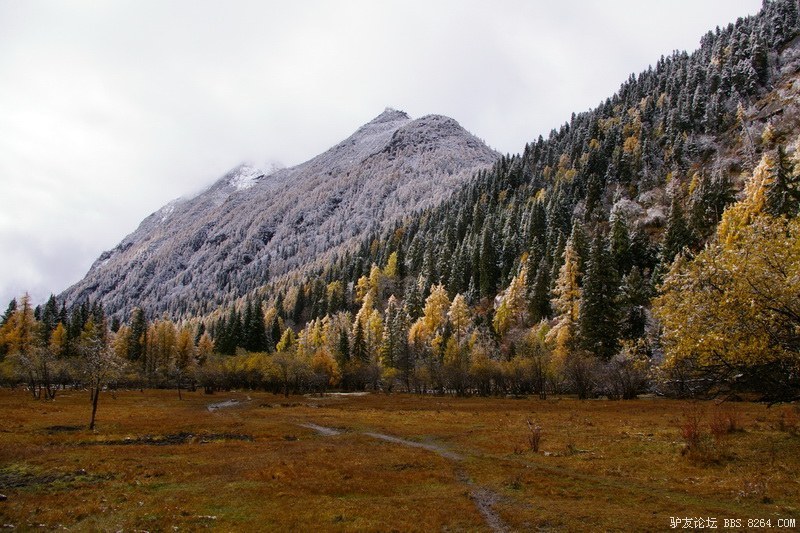 古道，细雨，暮雪-我的长坪沟半截秋色之旅