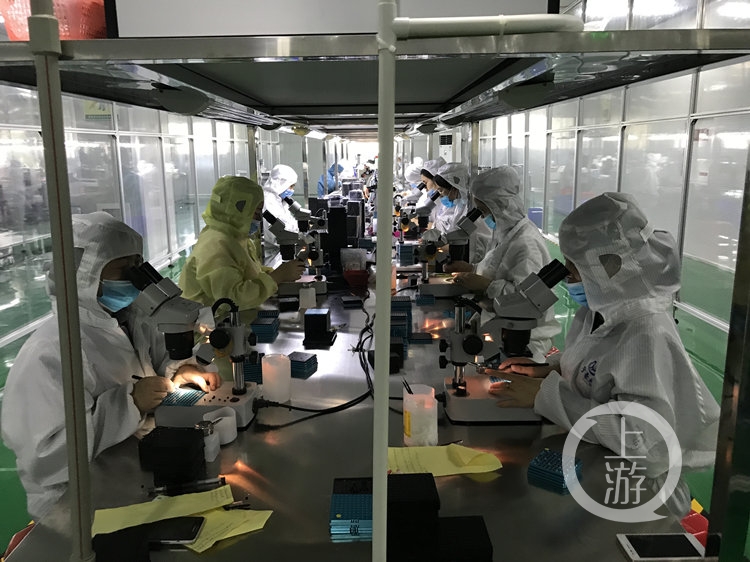 解码忠县“加速度”:橘子还没红电竞物流和创业先红透了