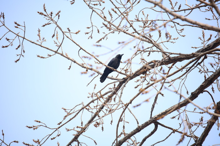 腾龙18-400mmf2.8参数,腾龙50-400mmf4.5-6.3上市时间