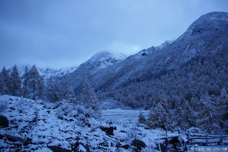 古道，细雨，暮雪-我的长坪沟半截秋色之旅